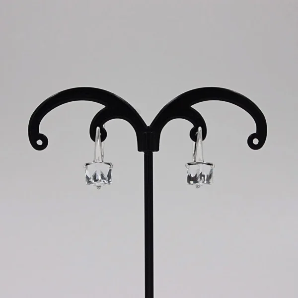 Earrings "Tyrumas"