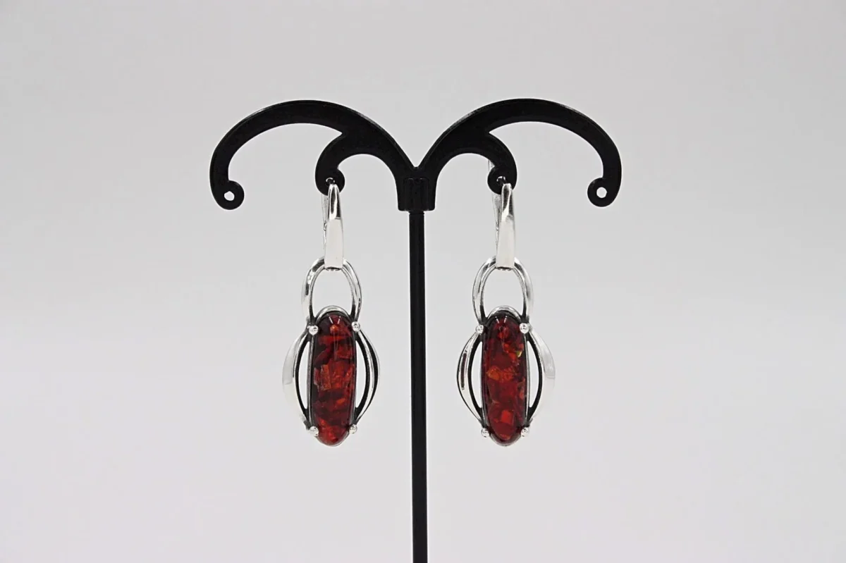 IMG_9260_Fotor Earrings - Image 1