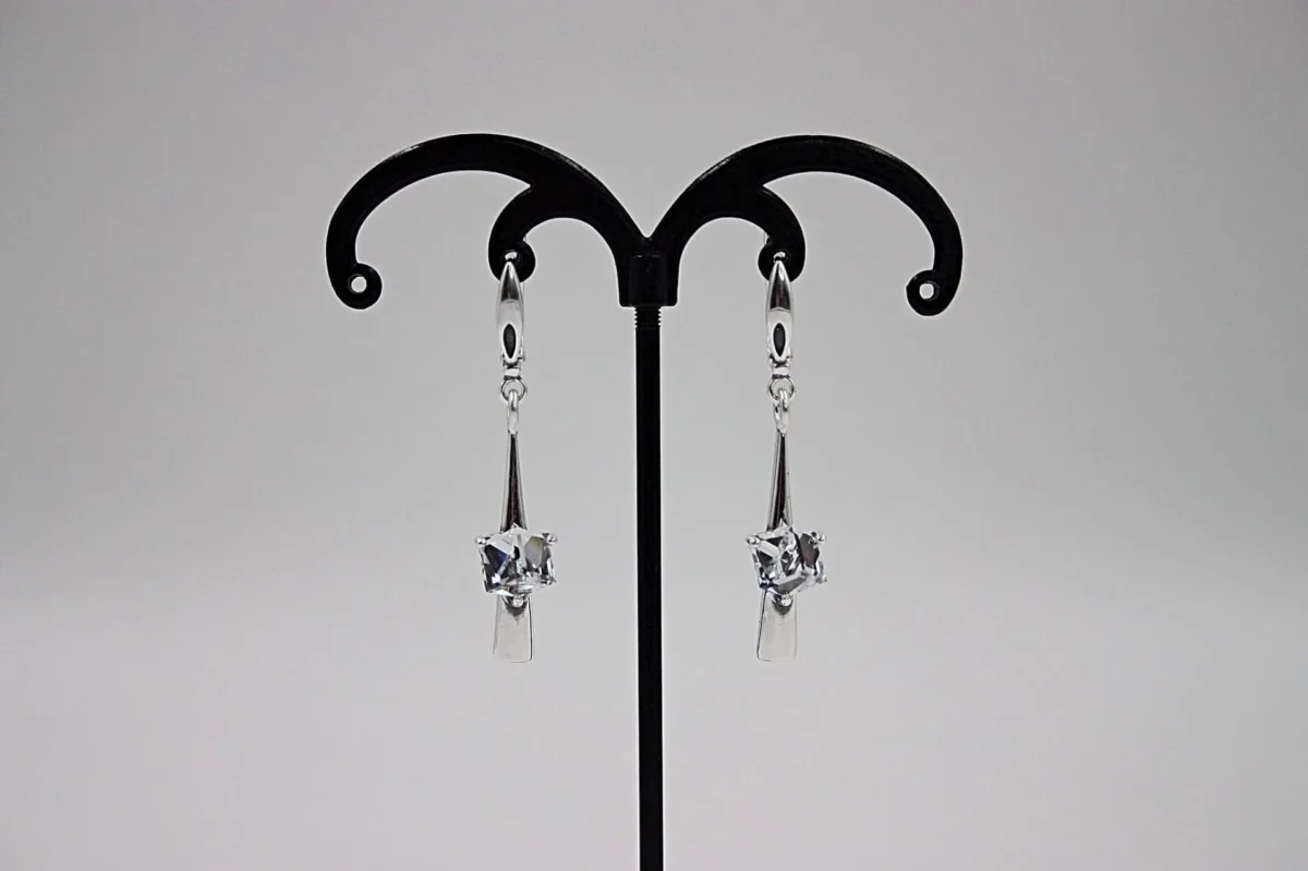 IMG_6472_Fotor Earrings - Image 1