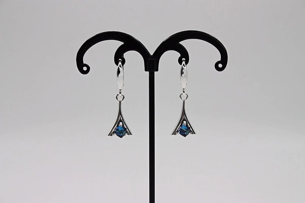 IMG_6644_Fotor Earrings - Image 1